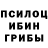 Галлюциногенные грибы GOLDEN TEACHER rodri maux