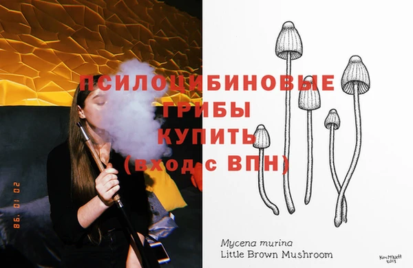 ECSTASY Армянск